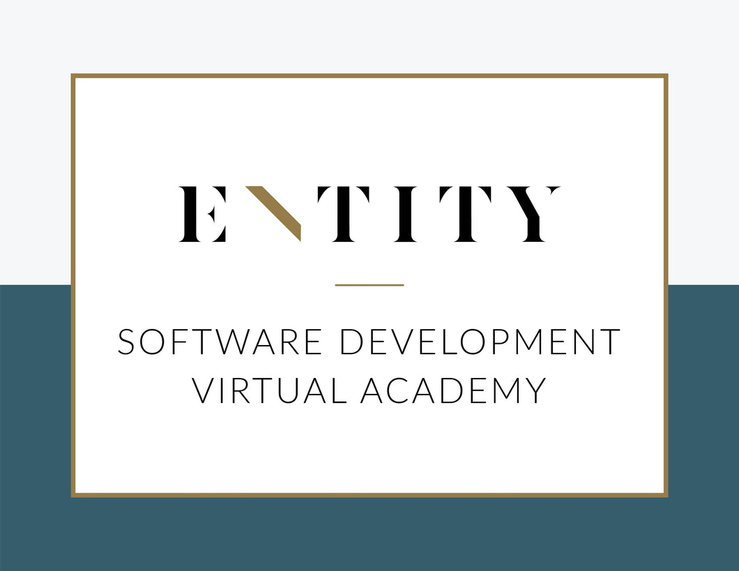 ENTITY Software Development Virtual Academy (Tuition)